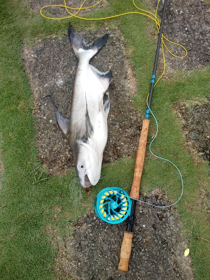 Two-handed Switch Fly Rod